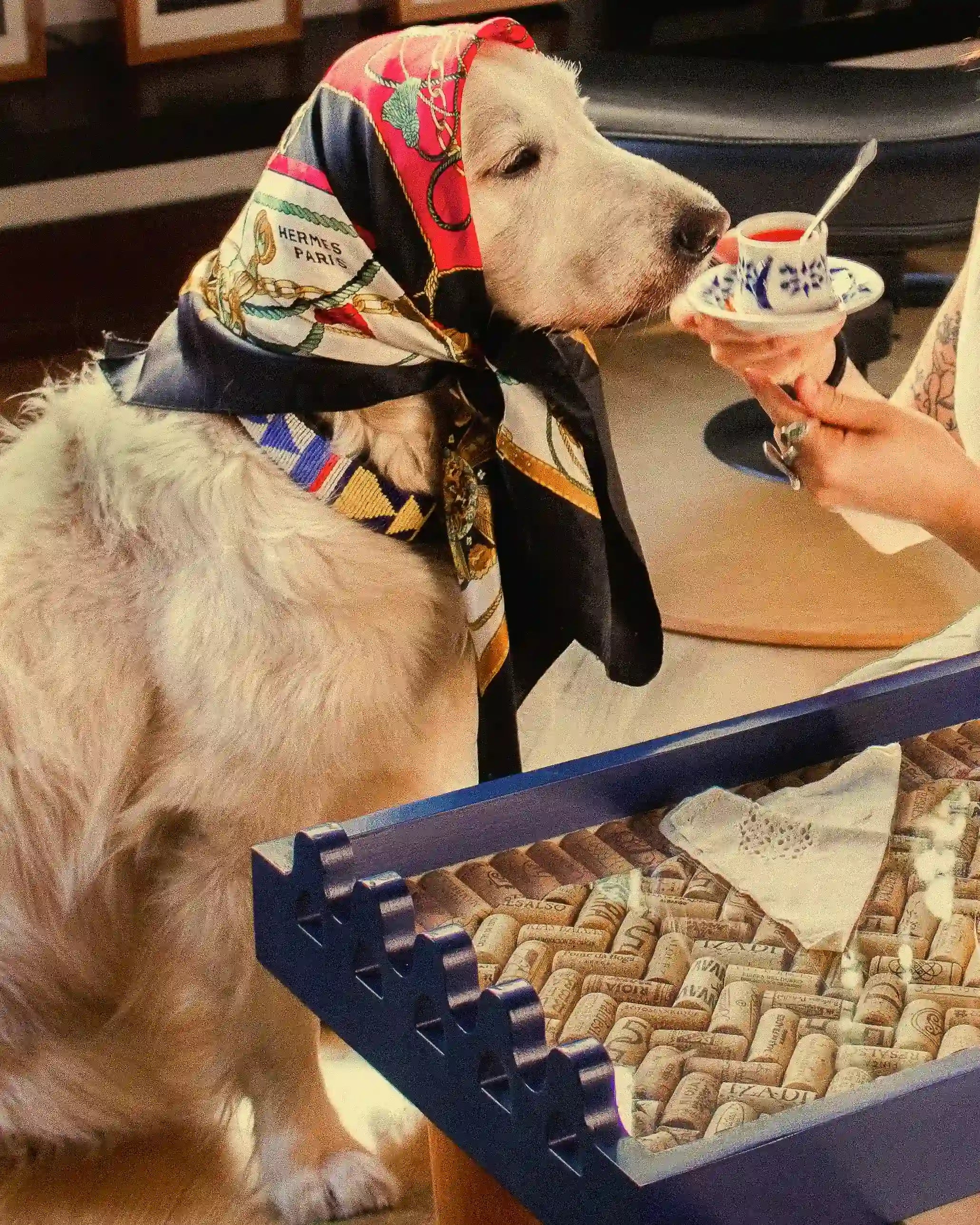 Dupletta Daroca Petite Azul de Bittoele usada como bandeja decorativa para servir te con golden retriever